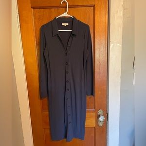 Madewell Blue Button-Front Dress